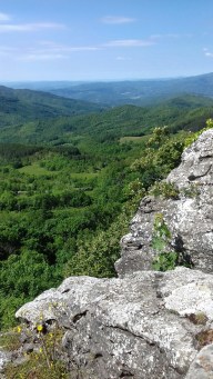 20170526_104316_resized (002)