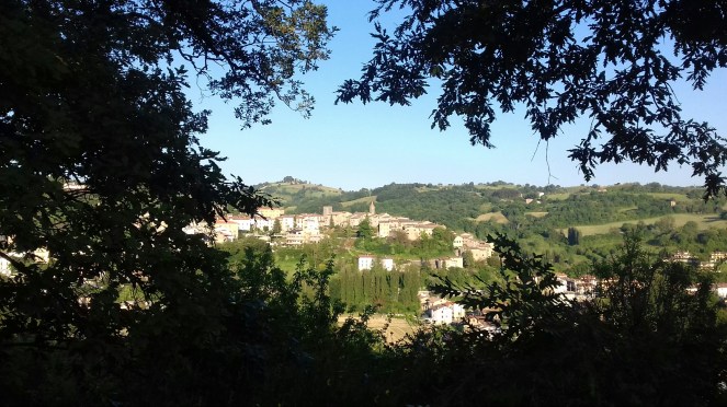 20170528_192131_resized