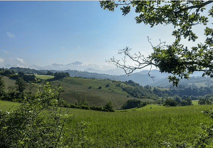 Screenshot_20181005-142532_Zuschnitt