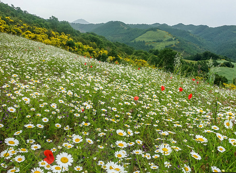 Screenshot_20181005-143038_Zuschnitt