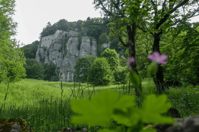 Screenshot_20181006-112215