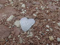 20191016_100514 klein für newsletter